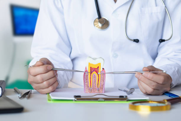 Best Cosmetic Emergency Dentistry in Montague, CA